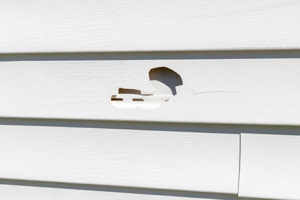 Best Engineered Wood Siding  in Emerald Isle, NC